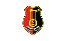 logo-stalowa-wola